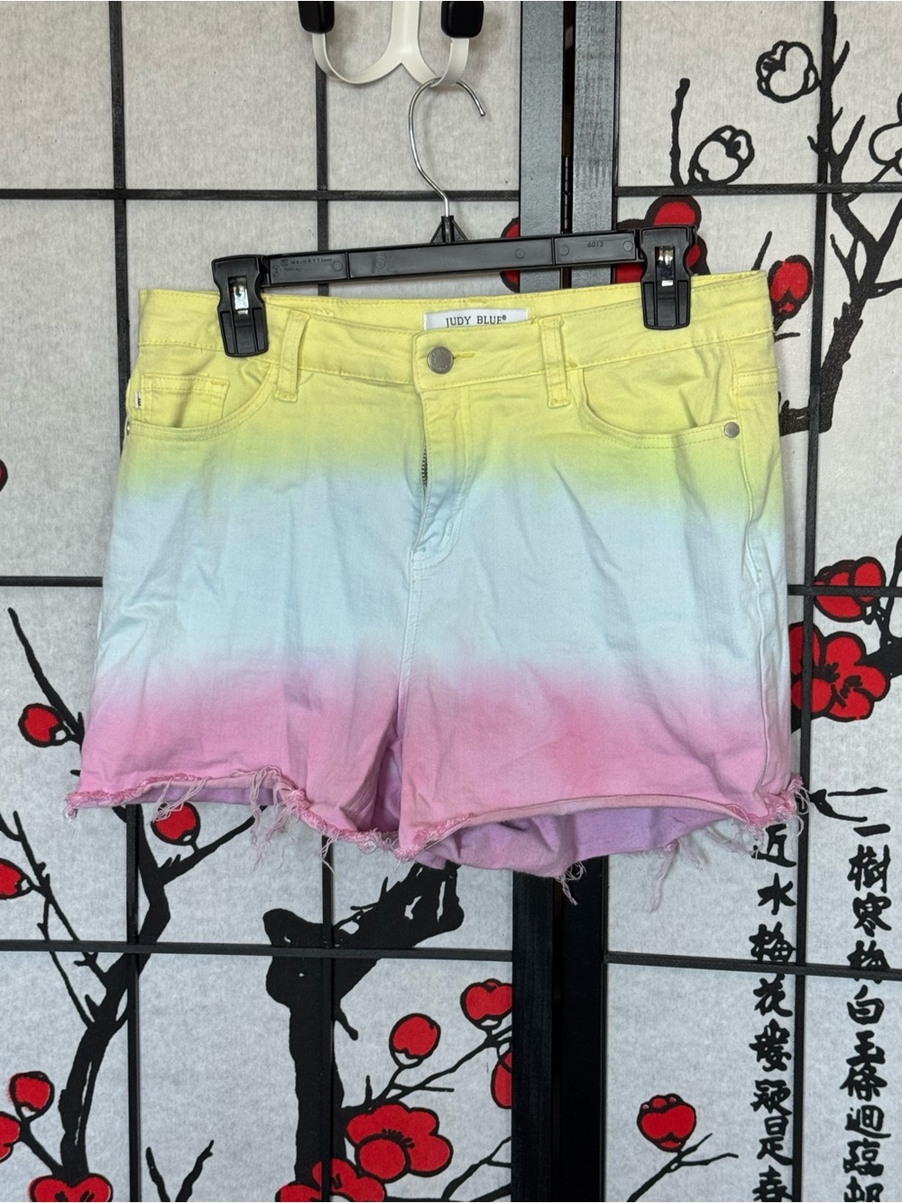 Judy Blue Size Large Distressed Ombre Yellow Blue Pink Denim Shorts